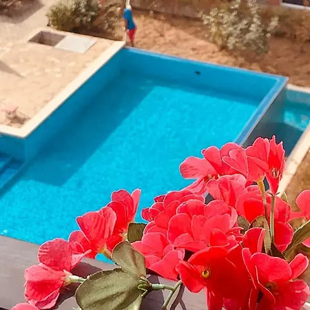 Apartman студия авангард *