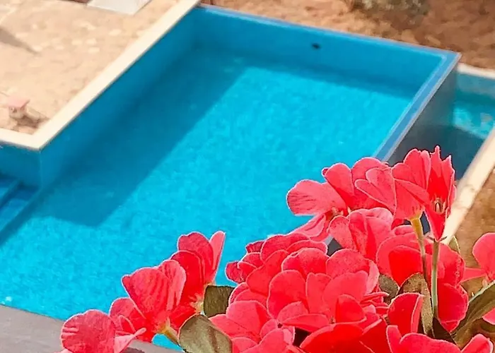 Apartamento студия авангард *